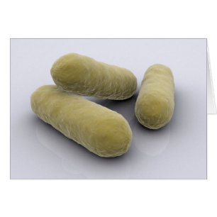 Image Conceptuelle Des Bactéries 2