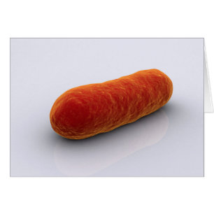 Image Conceptuelle Des Bactéries 4