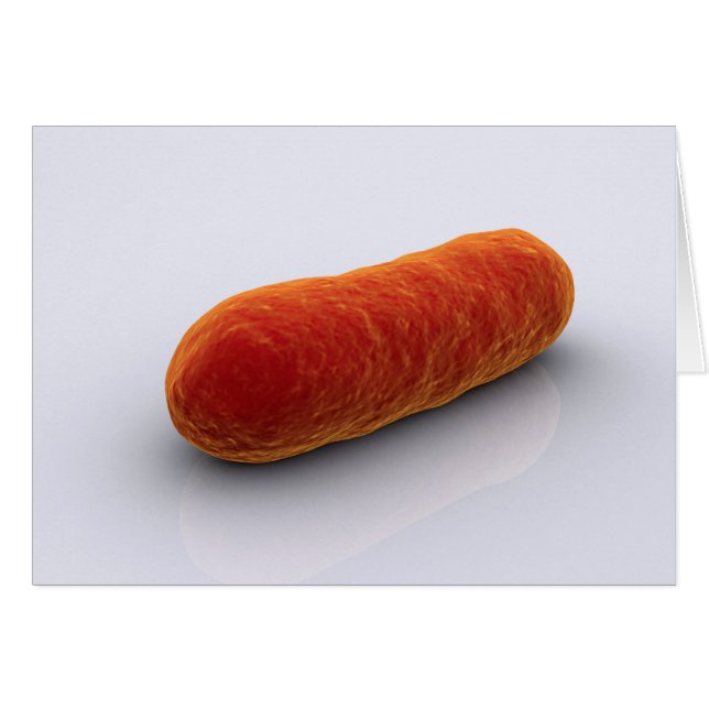 Image Conceptuelle Des Bactéries 4 (Devant horizontal)