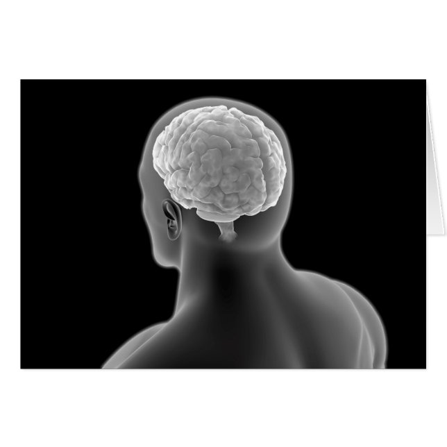 Image Conceptuelle Du Cerveau Humain 2 (Devant horizontal)