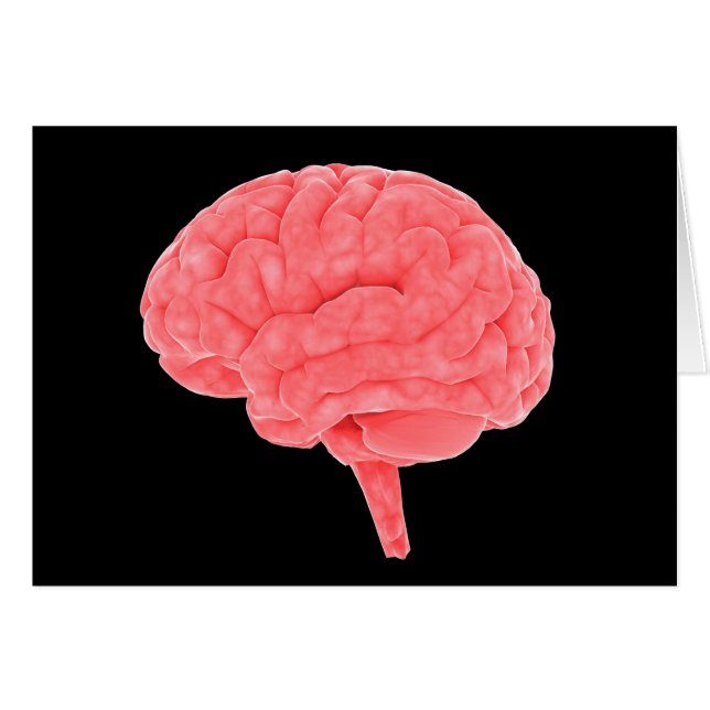 Image Conceptuelle Du Cerveau Humain 4 (Devant horizontal)