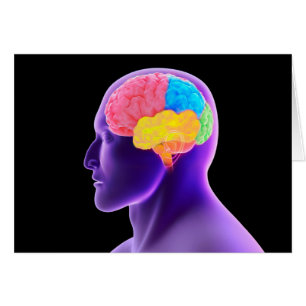 Image Conceptuelle Du Cerveau Humain 7