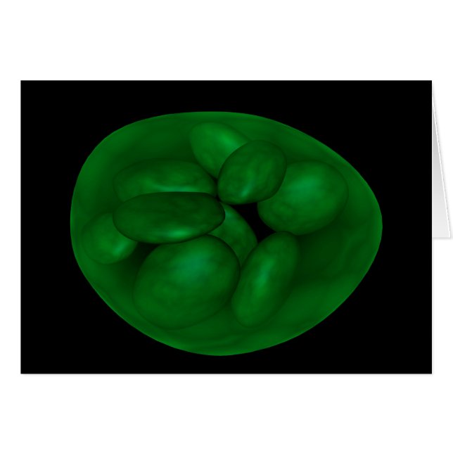 Image Conceptuelle Du Chloroplaste 2 (Devant horizontal)