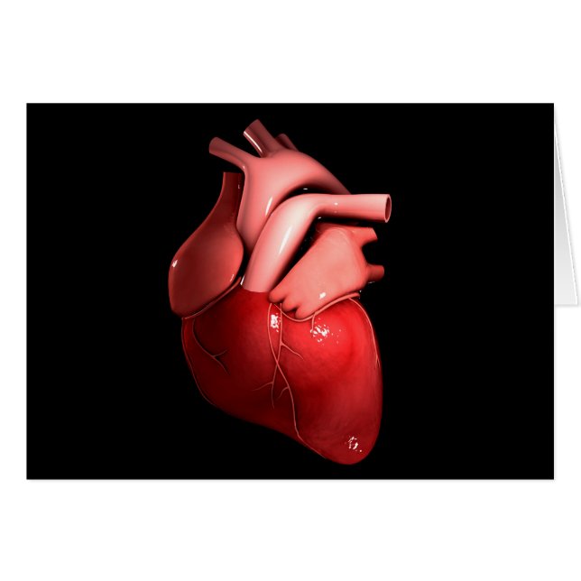 Image Conceptuelle Du Coeur Humain 1 (Devant horizontal)