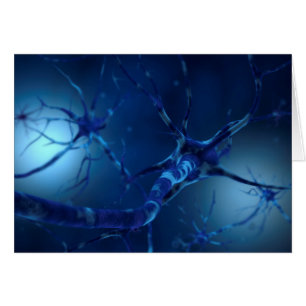Image conceptuelle du neurone 2
