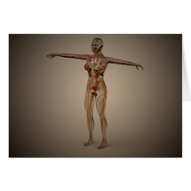 Image Conceptuelle Du Système Nerveux Humain 2 (Devant horizontal)