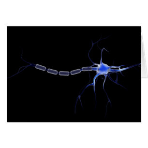 Image Conceptuelle D'Un Neuron 2