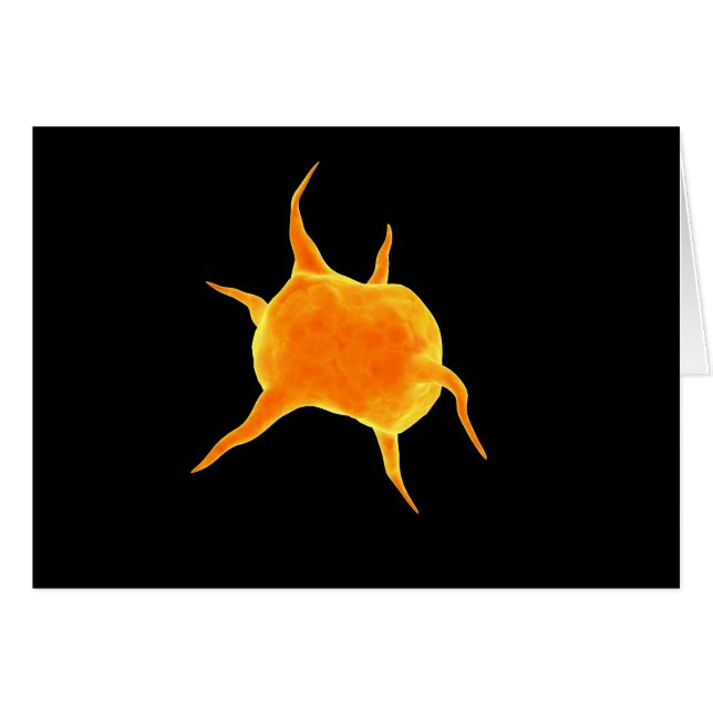 Image Conceptuelle D'Un Plateau (Devant horizontal)