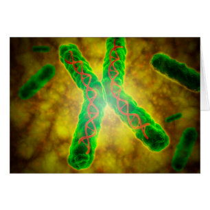 Image Conceptuelle D'Une Telomère