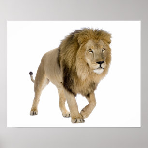 Image de connexion pour poster