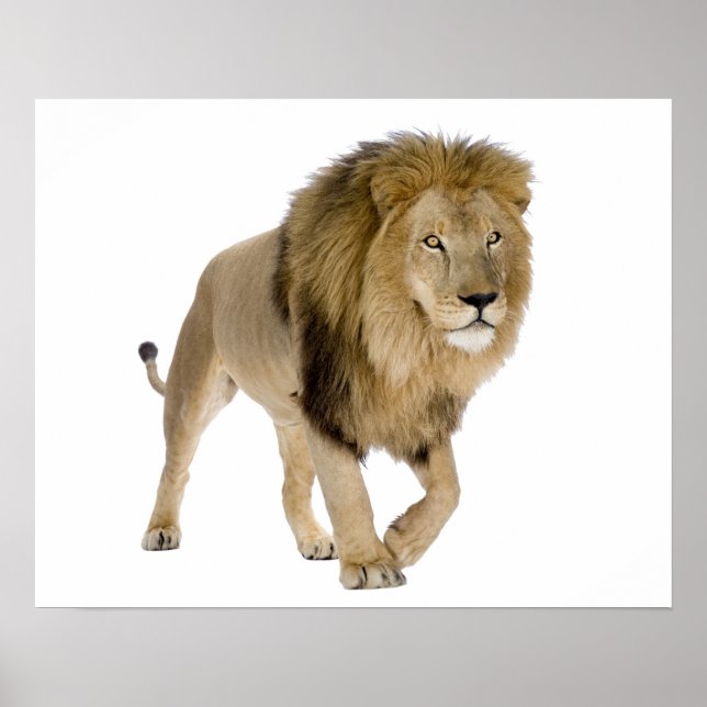 Image de connexion pour poster (Devant)