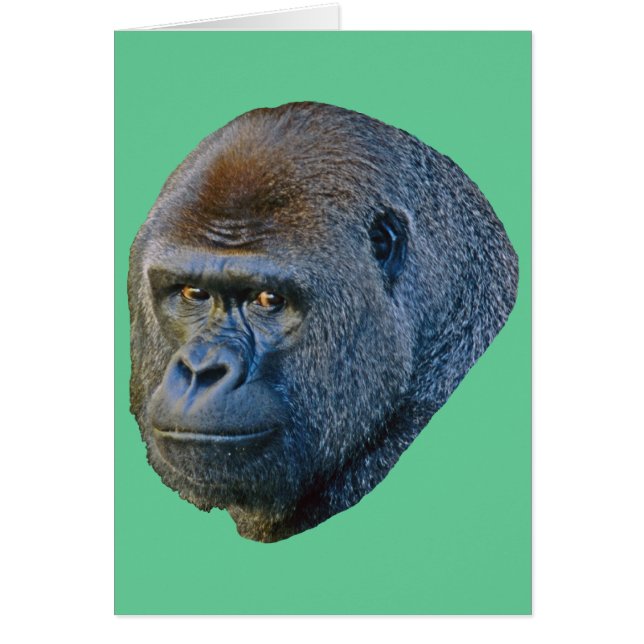 Image de Gorilla (Devant)