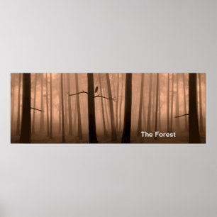Image de la forêt pour Poster