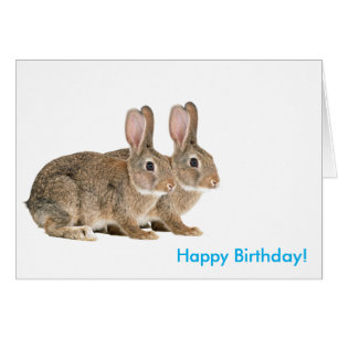 Image de lapin pour carte de voeux d'anniversaire