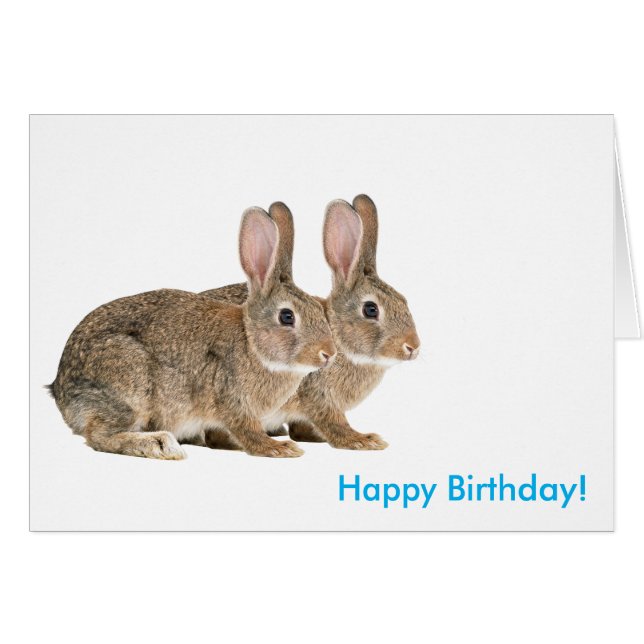 Image de lapin pour carte de voeux d'anniversaire (Devant horizontal)