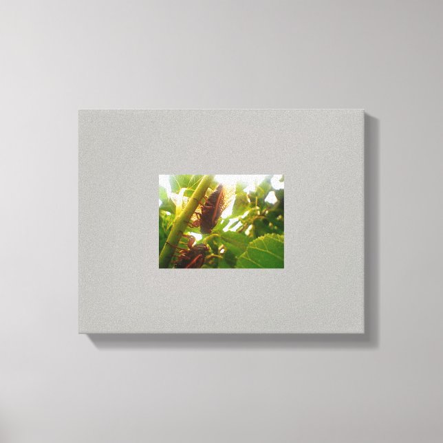 Image de toile de campagne de verrou (Recto)