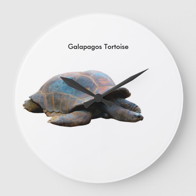 Image de tortue pour horloge ronde (Recto)