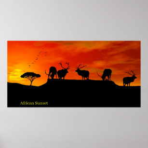 Image du coucher de soleil africain pour Poster