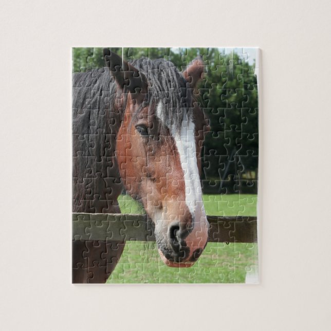 Image d'un puzzle quart de cheval (Vertical)