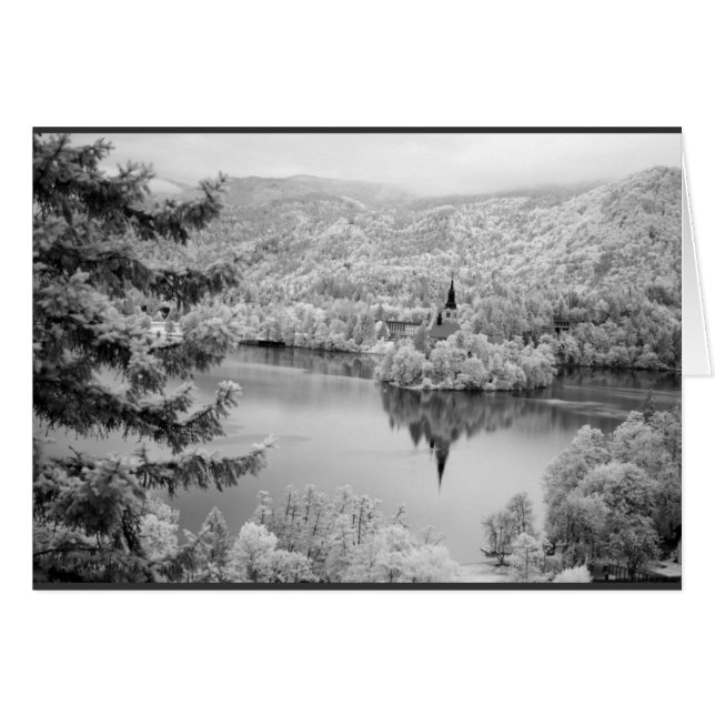 Image en noir et blanc du lac Bled, Slovénie (Devant horizontal)