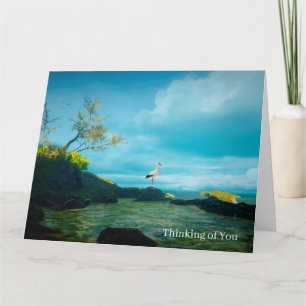 Image Heron gris pour la carte Get Well