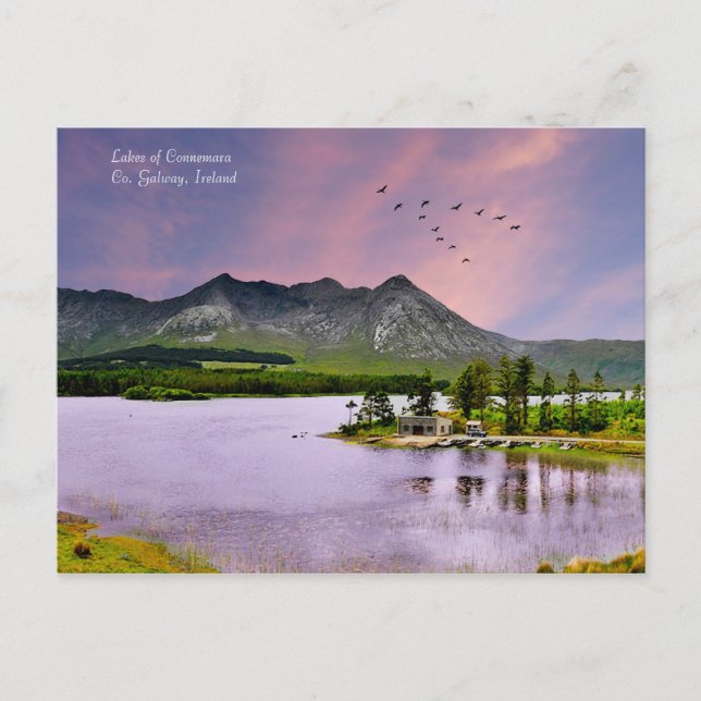 Image irlandaise pour carte postale (Devant)