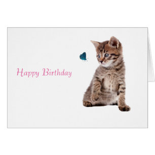 Image Kitten et Butterfly pour la carte de voeux