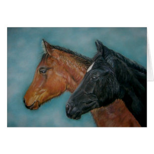 image mignon colt noir châtaignier poulain chevaux