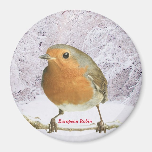 Image Robin pour grand aimant rond (Devant)