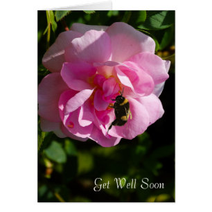 Image rose Flower pour Get-Well-greeting-card