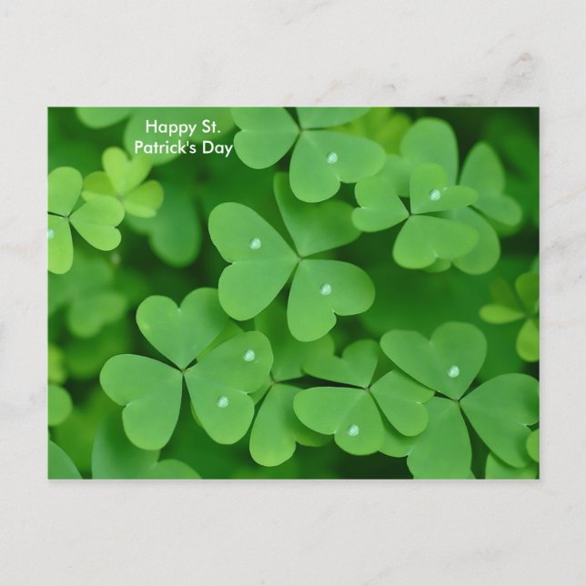 Image shamrock pour carte postale (Devant)