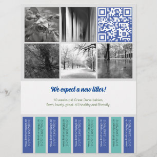 Images du carré du prospectus de retrait