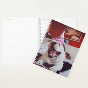 Images Getty British Bulldog