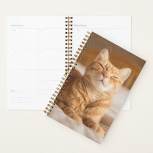 Images Getty   Chat couché