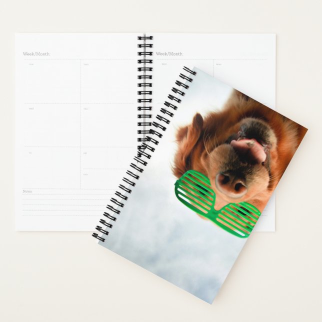 Images Getty | Chien avec lunettes (Devant avec enveloppe)
