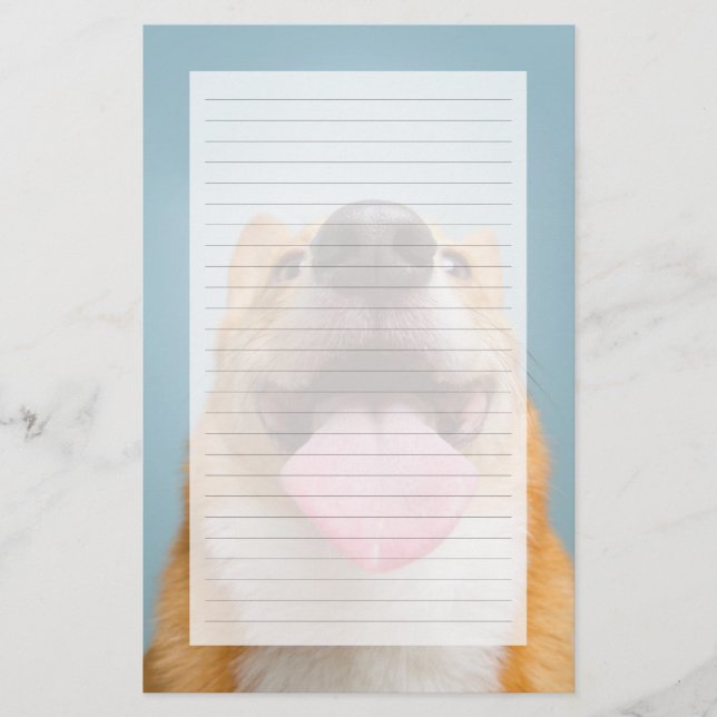 Images Getty | Corgi très heureux (Devant)