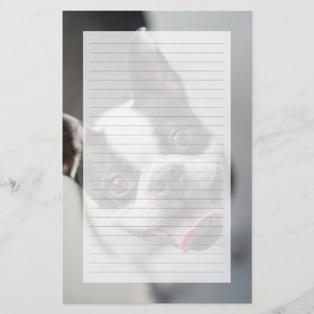 Images Getty | French Bulldog (Devant)