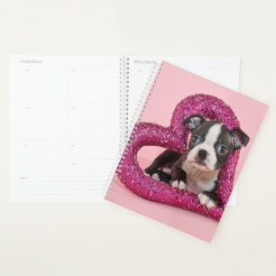 Images Getty   Puppy Love