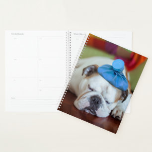 Images Getty Sick Young Puppy