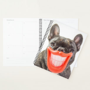 Images Getty Un chien souriant