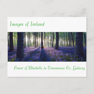 Images irlandaises pour carte postale