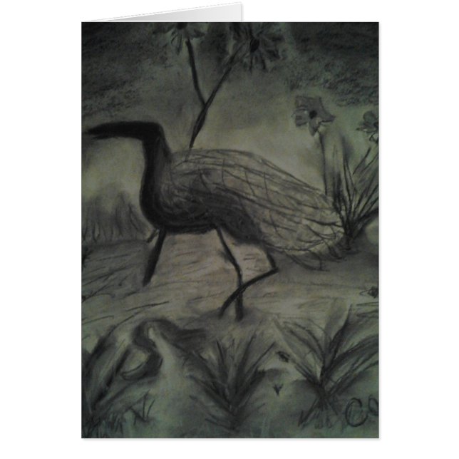 Images tirées par la main pour toutes les (Devant)