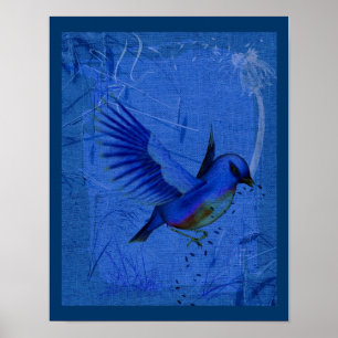 Imaginaire Bluebird sur Blue Nature Poster d'art