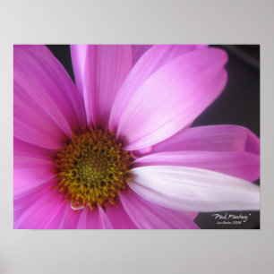 Imaginaire rose - affiche
