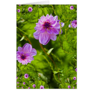 Imaginaire Rose Dahlia