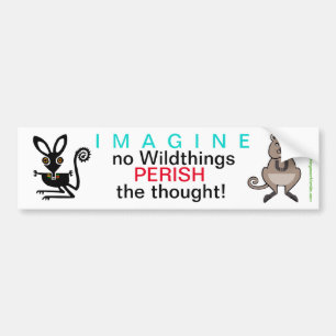 IMAGINE - Bumper Sticker