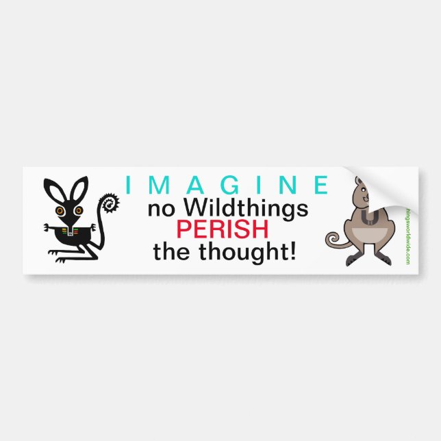 IMAGINE - Bumper Sticker (Devant)
