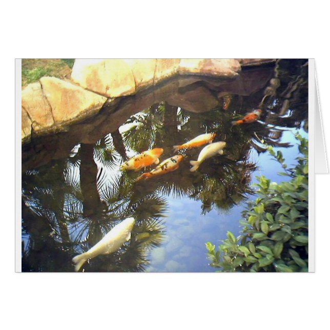 img1173.JPG (Devant horizontal)