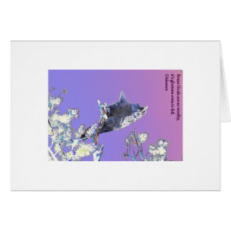 IMG_9114webaltwithexpression