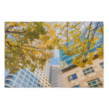 Automne dans la ville